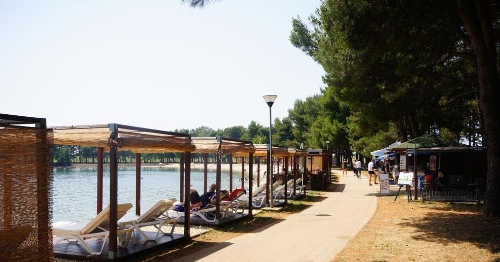 Apartman Tea Novigrad  Exterior photo
