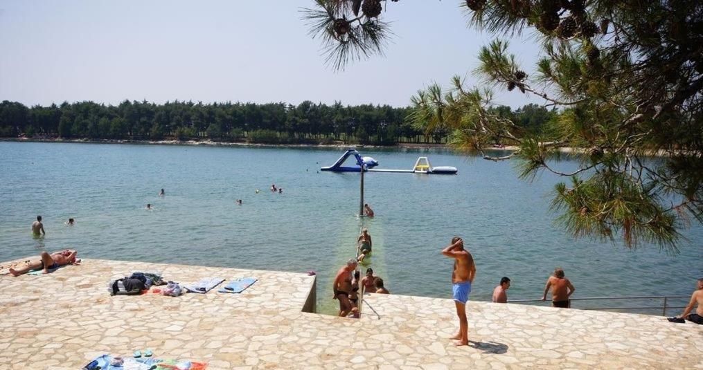 Apartman Tea Novigrad  Exterior photo